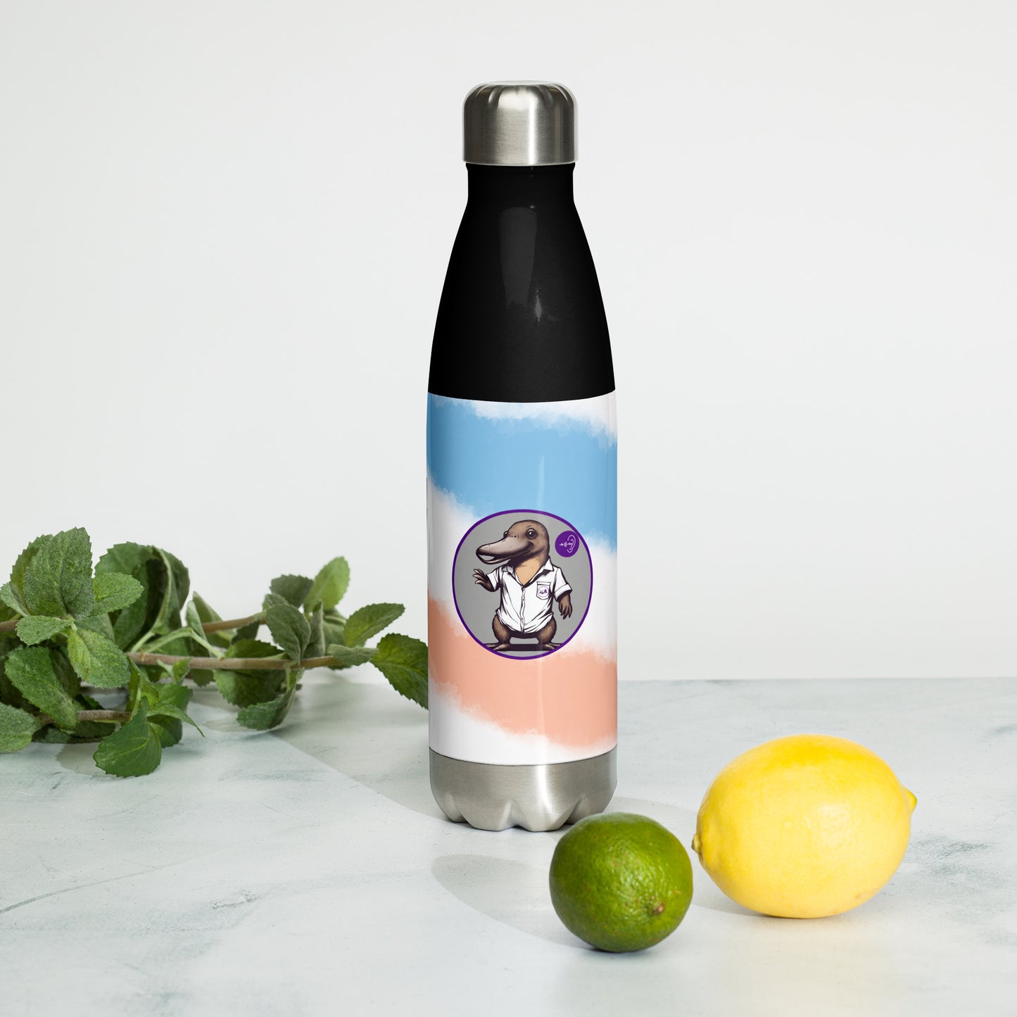 Stainless steel water bottle